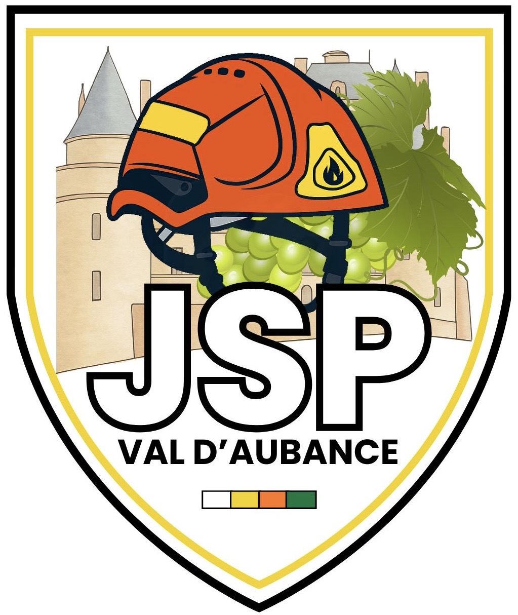 Logo JSP